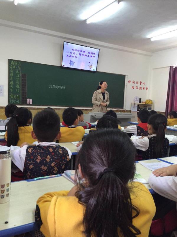 各领风骚 教学相长--育才双语小学语文听评课(中年级组) 各领风骚 教学相长--育才双语小学语文听评课(中年级组)