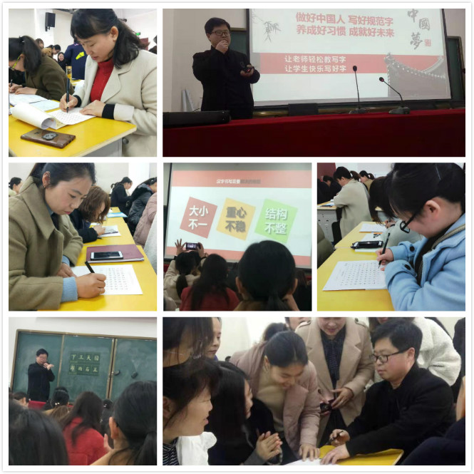 育才双语小学教师书法培训 育才双语小学教师书法培训
