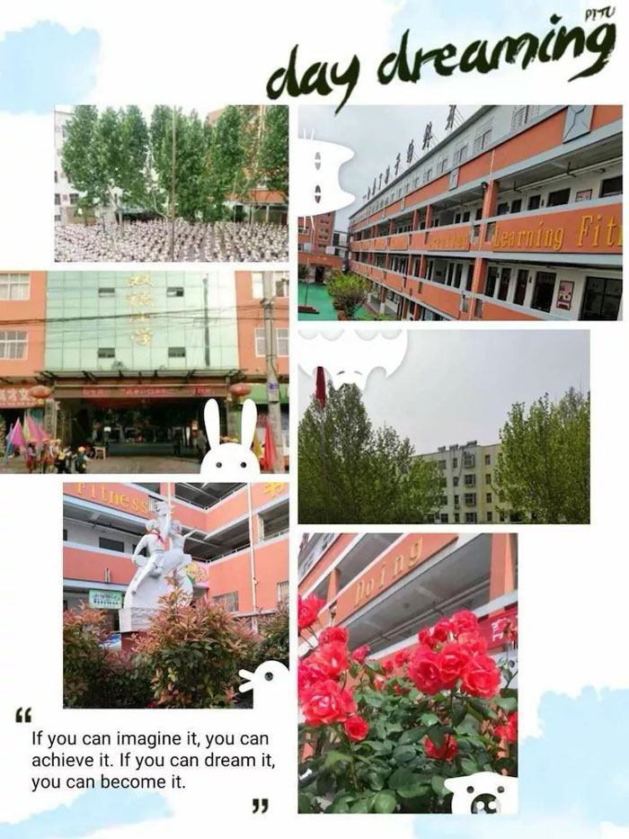 民权育才双语小学一年级开始招生啦! 民权育才双语小学一年级开始招生啦!