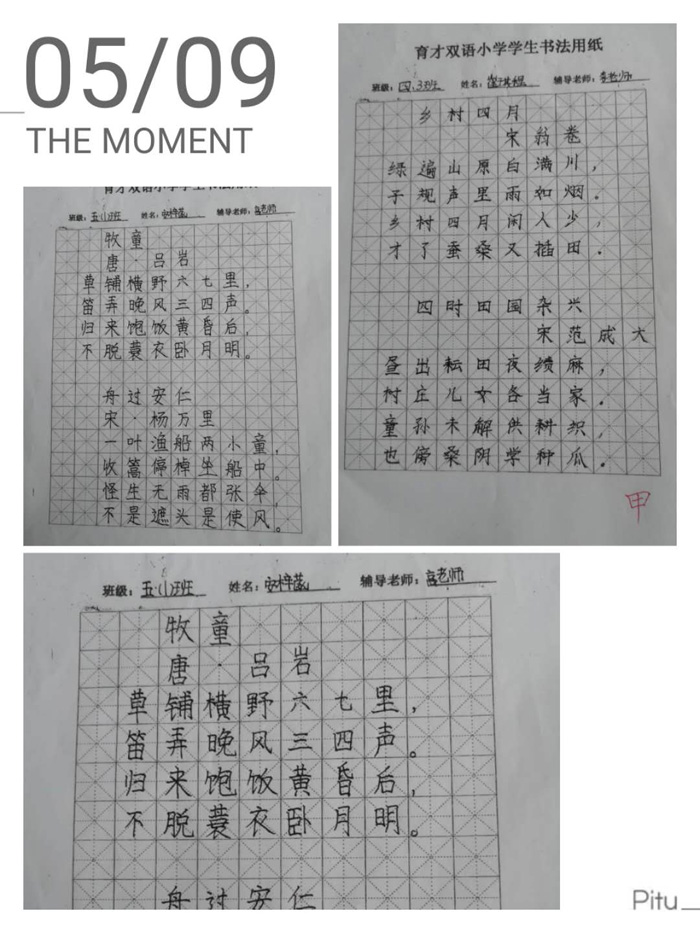 记育才双语小学书法大赛