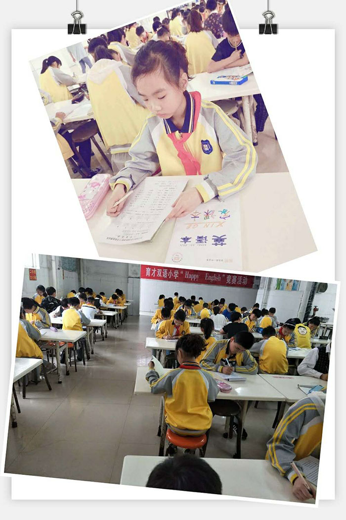 育才双语小学英语竞赛 育才双语小学英语竞赛