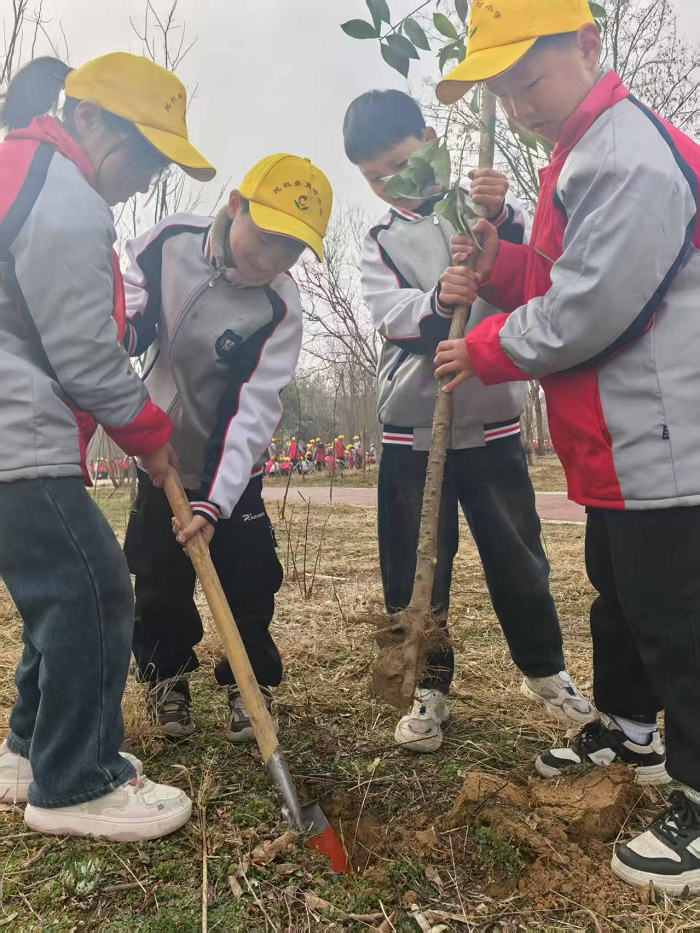 “植”此青绿  悦见春天   ——民权育才小学“3·12”植树节主题教育