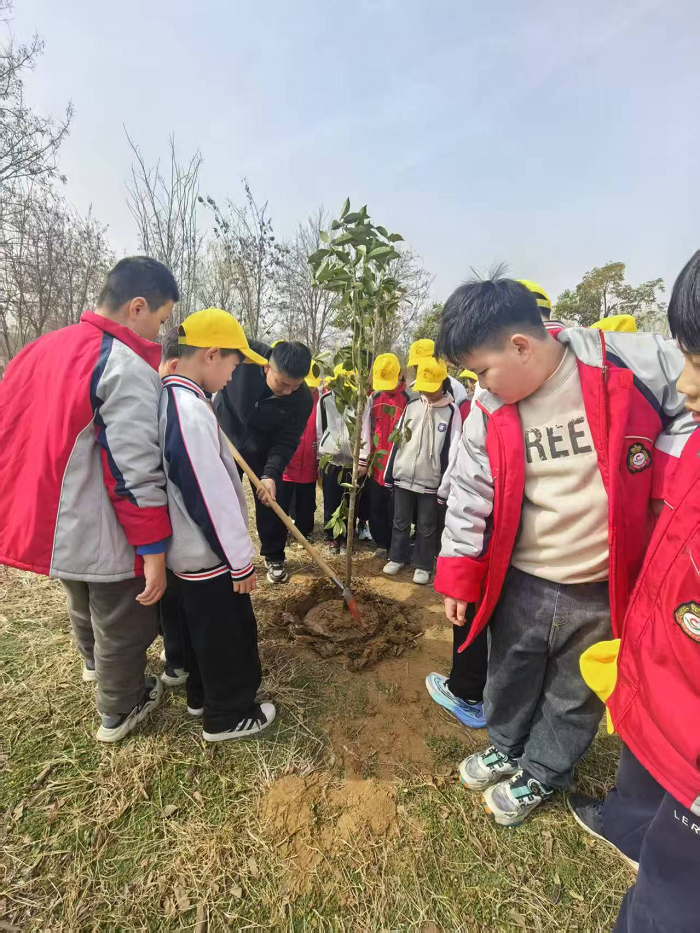 “植”此青绿  悦见春天   ——民权育才小学“3·12”植树节主题教育