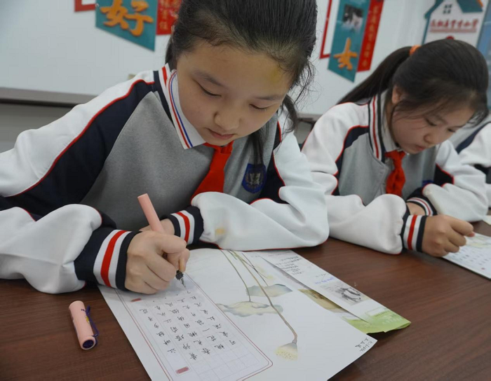 翰墨润校园  妙笔展风华 ———民权县育才小学师生硬笔书法大赛