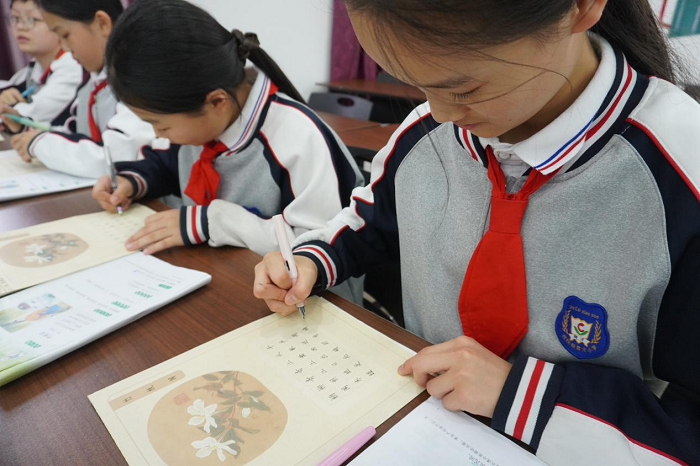 翰墨润校园  妙笔展风华 ———民权县育才小学师生硬笔书法大赛