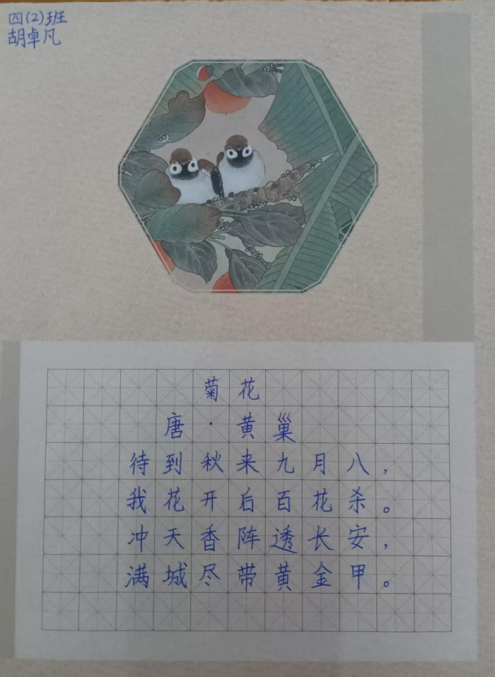 翰墨润校园  妙笔展风华 ———民权县育才小学师生硬笔书法大赛