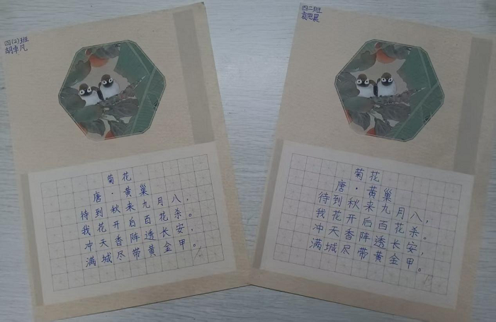 翰墨润校园  妙笔展风华 ———民权县育才小学师生硬笔书法大赛